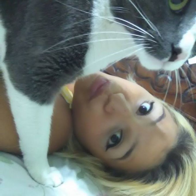 🐭Rata Faraona 👑 - #DiaDelGato https://t.co/gC66QZpzaK
