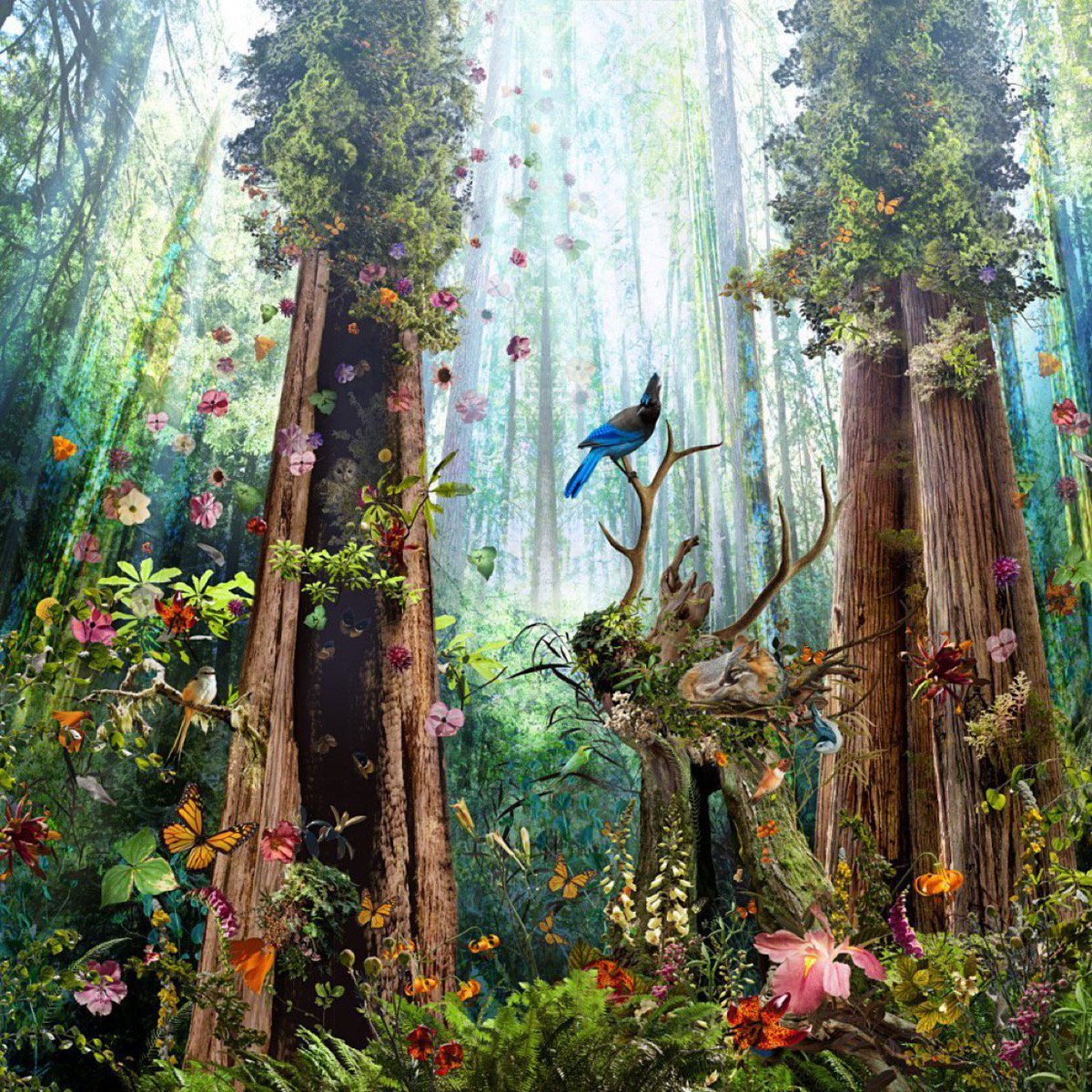 ramblingsloa's tweet photo. Open your eyes to the beauty around you
Open your mind to the wonders of life
Open your heart to those who love you
And always be true to yourself.

Maya Angelou 
Pic Ysabel Le May https://t.co/1KDfyjDaG6