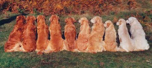 CartDelDirect's tweet image. Running out of ink? Low cost, high quality #ink &amp;amp; #toner printer cartridges same day to your workplace or home. 01204 773500. FREE SAME DAY DELIVERY in #Manchester #Bolton #Bury #Salford #Walkden #Wigan #Radcliffe #Oldham #Tyldesley #Worsley #Prestwich #Horwich #Eccles #Irlam