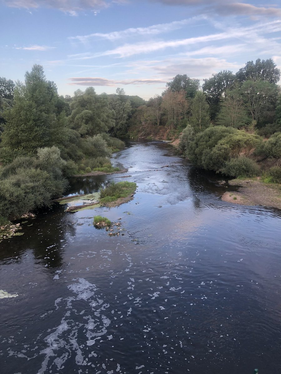 berrichonducher's tweet photo. #canaldeberry #leCher au niveau du pont de la tranchasse . Ne cherchez pas ailleurs ! Le #berry et ses paysages magnifiques c’est ici ! Amis touristes venez profiter du calme de notre région😉@SAM18200 @Thierry18200 @CCcoeurdefrance https://t.co/jnWTtoWrEv