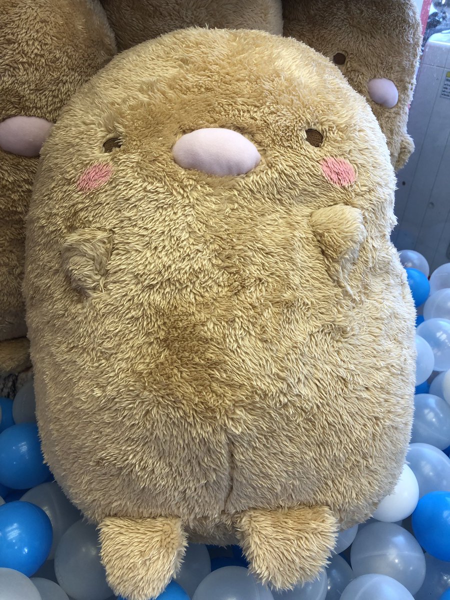 タイトーステーション戸塚西口店 على تويتر プライズ すみっコぐらし ほんのりほっぺぬいぐるみ とんかつが登場です とんかつの端っこ 私は好きです すみっコぐらし とんかつ タイトーステーション戸塚西口