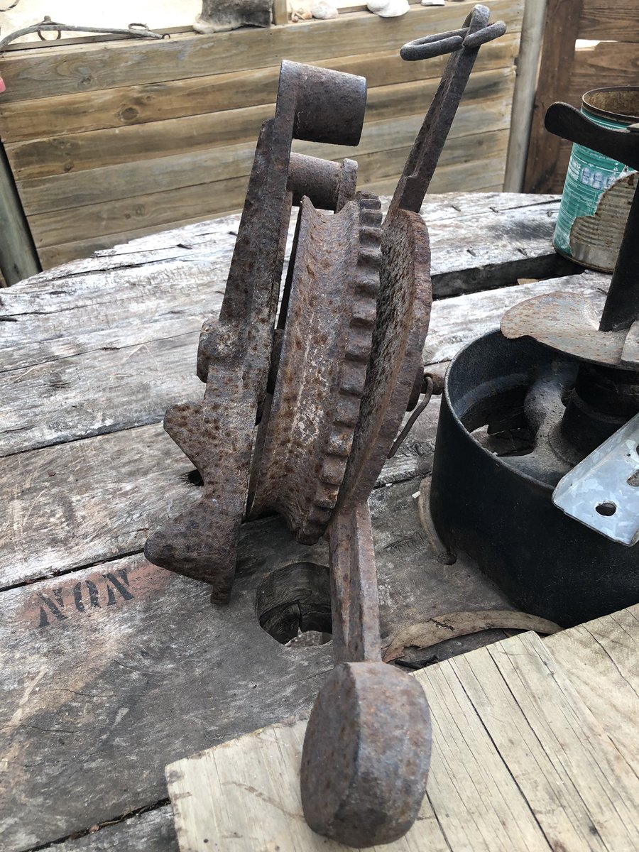 Natalie Clark tweet media