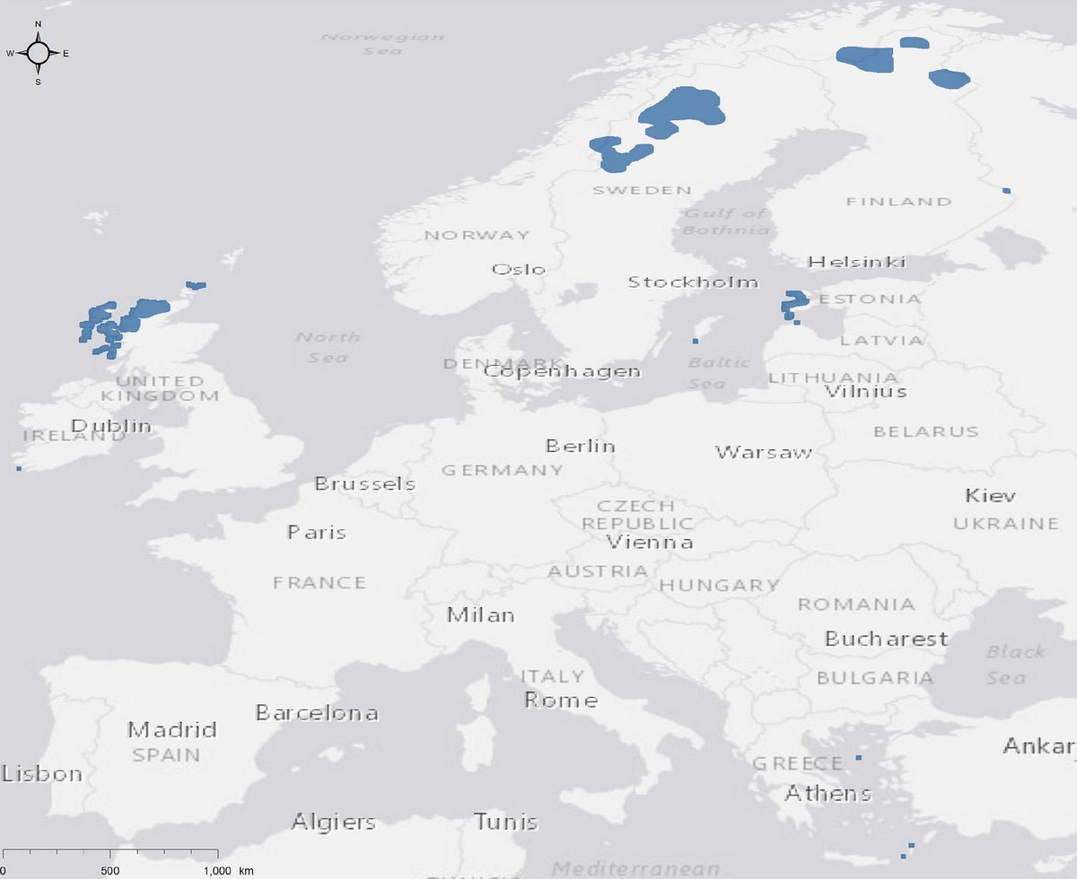 DarkPeace tweet media