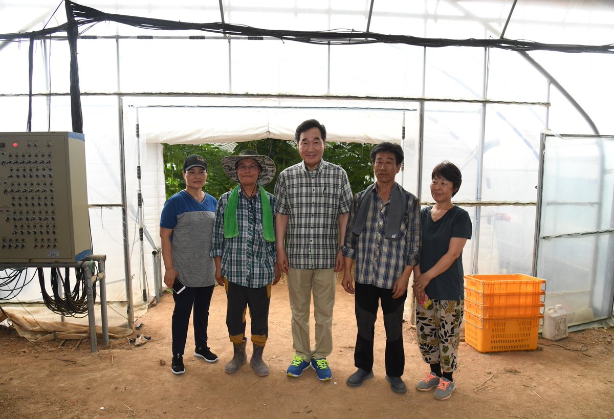 연일 폭염. 가축도, 채소도 힘듭니다. 경기도 안성. 폭염을 이겨내는 양돈장과 오이하우스를 찾았습니다. 많은 어려움을 딛고 농업을 발전시키시는 농업인 여러분, 고맙습니다.