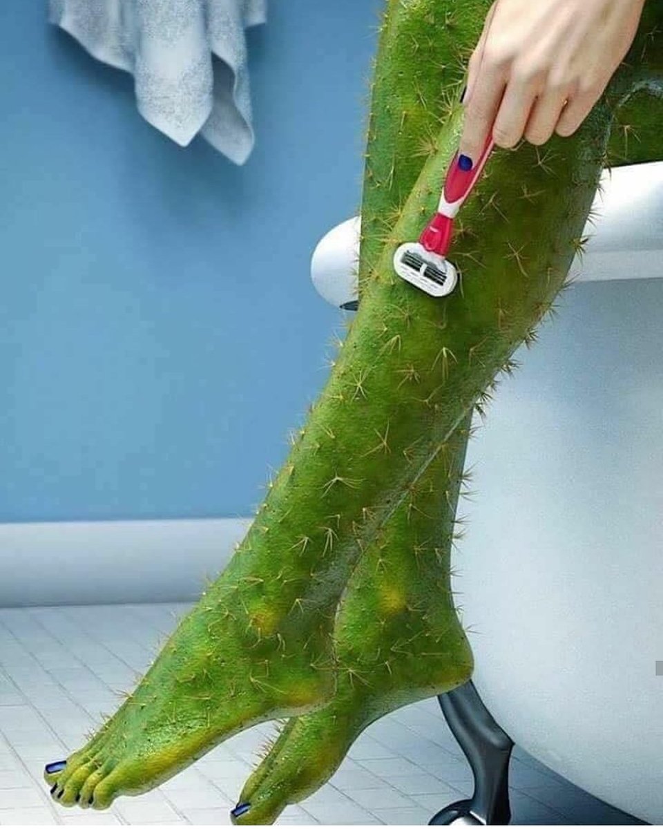 jenyassecrets's tweet photo. 🗡✂️ If you #shave regularly, you will end up removing #hair on the surface of your #skin and not from the roots, which can leave dark spots on your skin. Also red and #itchyskin can be a result of #shaving and not moisturizing your skin enough. #BerkshireNews #BerkshireEvents https://t.co/CbK2PxYj3n