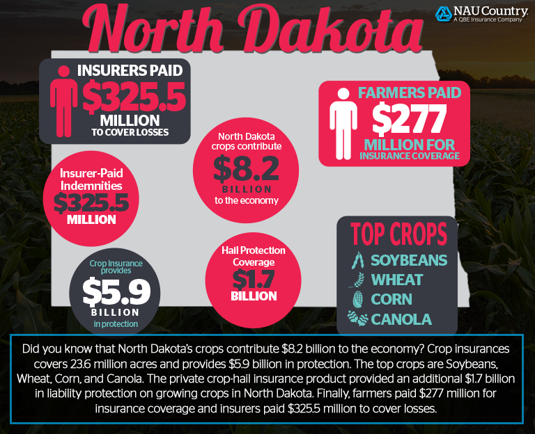 naucountry's tweet photo. Friday Farm Facts: Focus on North Dakota. #NAUCountry #NorthDakota #Friday #NationalCropInsuranceServices #Farming #Agriculture #QBENA https://t.co/JOMFjKwNEO