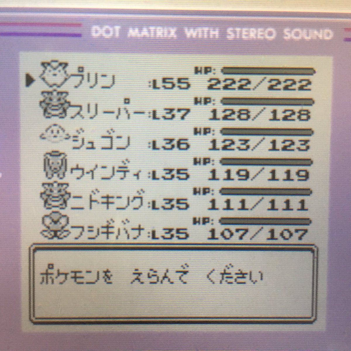 瀬文やつむ Sur Twitter 初代ポケモン赤 チャンピオンロードを切り抜け ようやくセキエイこうげんのポケモン リーグに挑戦 カントー地方を冒険してきたポケモントレーナー やつむが育てたメンバー達vs四天王の軍勢 得意のまひorねむり 命中低下の足止め作戦でも