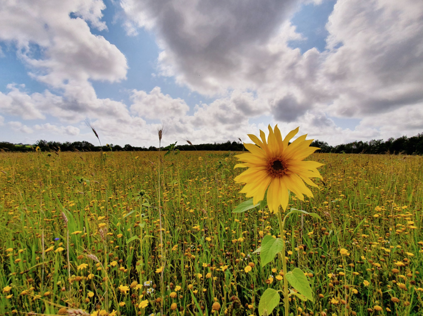 Visit Bridgend tweet media