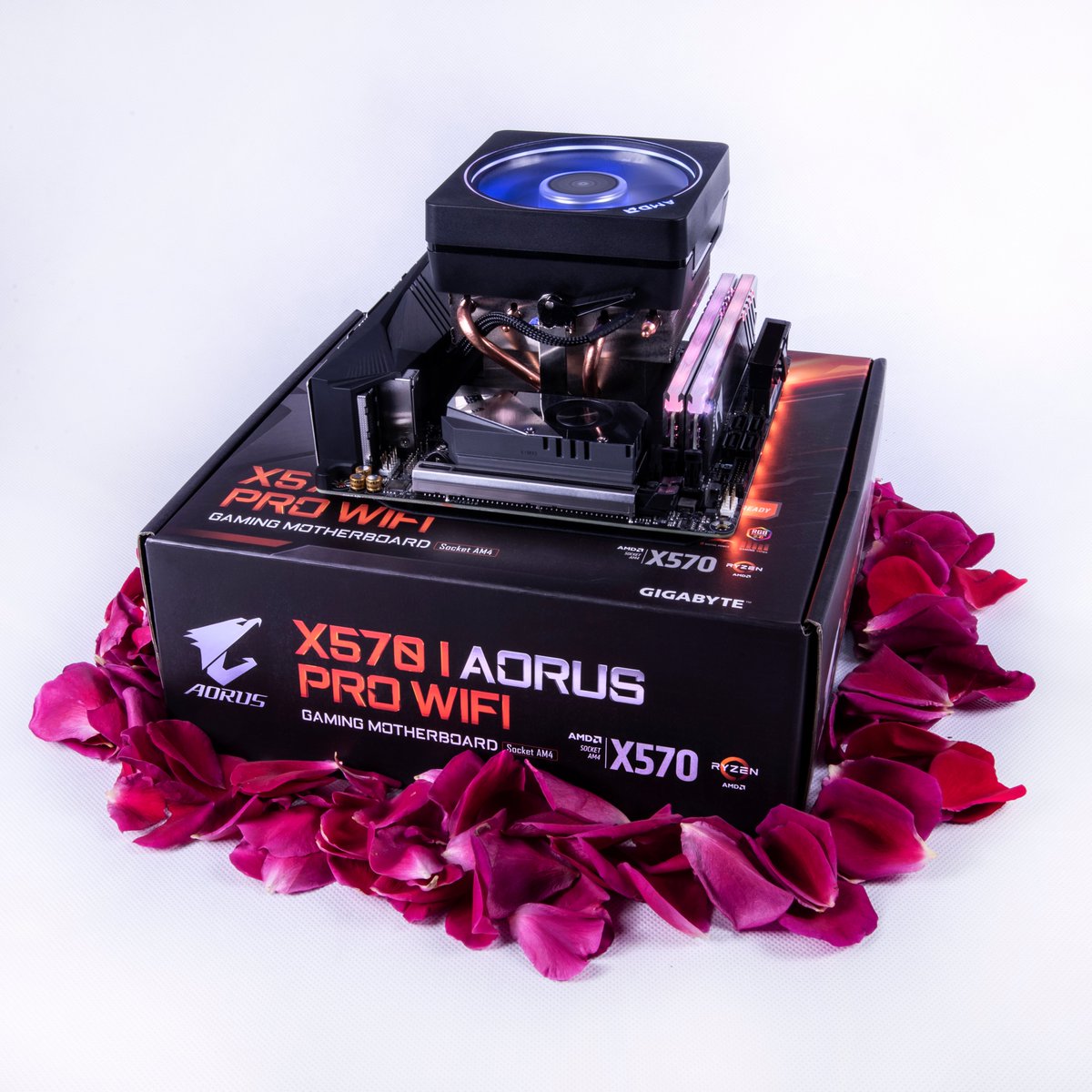 GIGABYTE_DE's tweet photo. The GIGABYTE AORUS X570 I AORUS PRO WIFI :)
#AorusXtremePower #XtremePower #X570 #AMD #AMDX570 #AORUS #PCgaming #gamingpc #gamingmotherboards
#x570 #x570mobo #x570메인보드 #x570chipset #RDNA #motherboard #ryzen #amdryzen #AORUS #GIGABYTE #TeamUpFightOn @AMDRyzen @Radeon @AMD https://t.co/N5aVtxHfXR