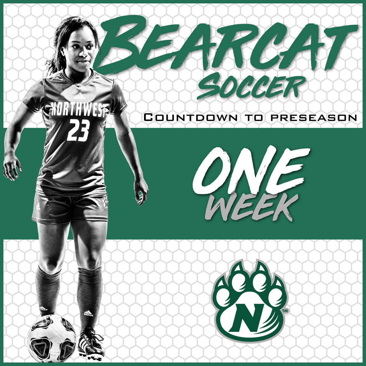 7 DAYS UNTIL PRESEASON BEGINS #oabaab💚🐻🐱 #earnit #preseason