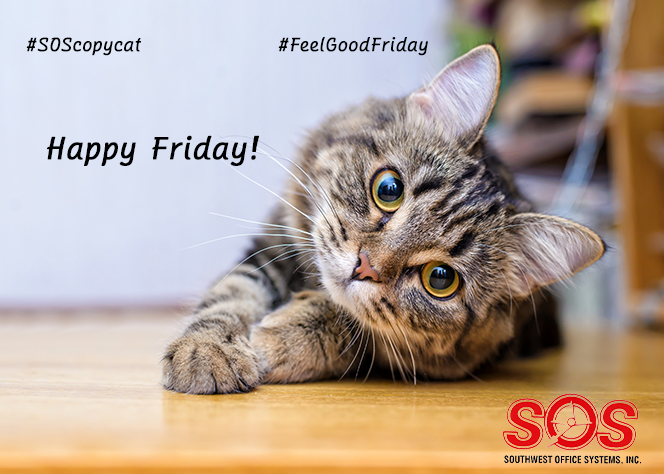 #FridayFun #FeelGoodFriday #FridayFeels Our <a href="/SOSTX13/">SOS Texas</a> #CopyCat wants everyone to stay "pawsitive" and have a happy friday! <a href="/Sharp_Business/">Laureano Antonioni</a> #printer #OfficeInnovation #MFD