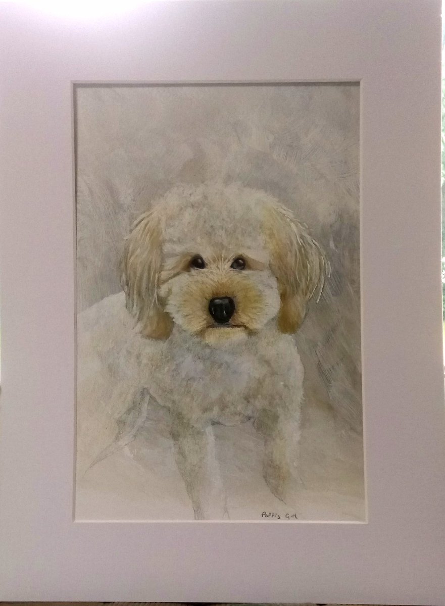 Gary  Hall tweet media