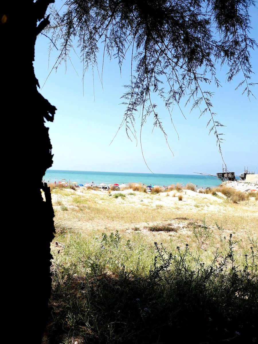 FilomenaGaspari's tweet photo. Anche quest'anno stessa spiaggia, stesso mare #PuntaAderci #PuntaPenna https://t.co/0jHX6HaNNP