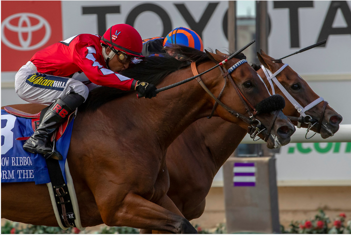 EclipseSports's tweet photo. "Freedom lies in being bold" #RobertFrost #FearlessFriday
What #trait do you think makes a #racehorse fearless? @BreedersCup @HR_Nation @ABRLive @sambitoperu @DraydenV
📸: Casey Phillips
#stormthehill #beaurecall #Yellowribbonhandicap #delmar
https://t.co/YNLCMDIe2w https://t.co/zoReWLzKr4