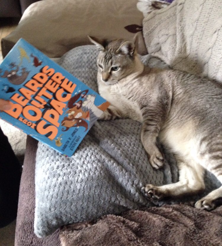 stevemaythe1st's tweet photo. For #BookLoversDay (& the fact it was #InternationalCatDay2019 yesterday hereโs Mia the Tonkinese cat reading a copy of Beards from Outer Space by @jonesgarethp & me #getpetsreading) https://t.co/FP72Hfg7pI