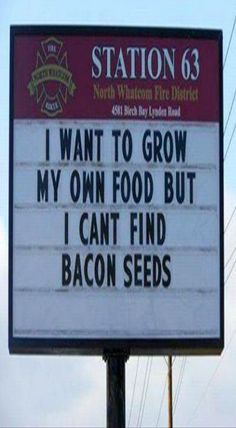 bigdaddyssigns's tweet photo. I want to grow my own food but I can't find bacon seeds.
(Not our image. Contact for credit.)

#BDSSigns #WhatsYourSignSay #BigDaddysSigns https://t.co/ems4YOj55J
