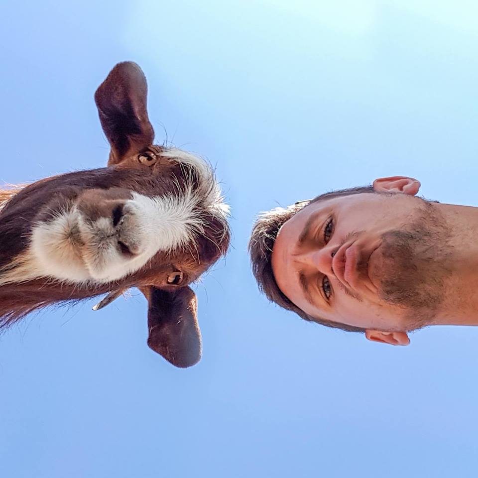 Erth Roamer tweet media