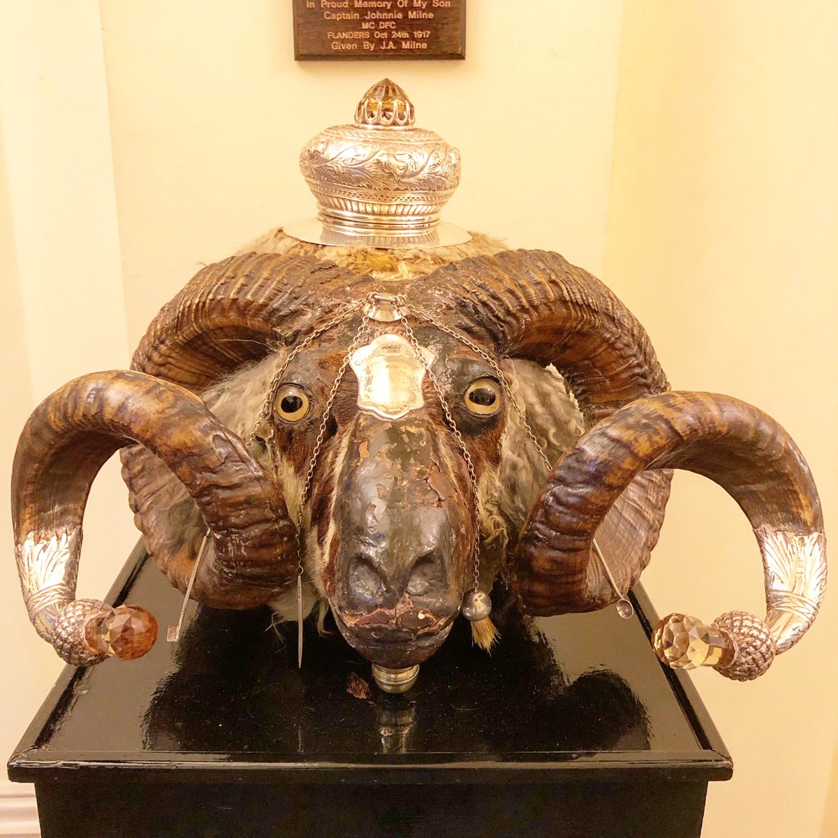 CalClubLondon's tweet image. The Club Silver Mounted Ram’s Head Snuff Mull. This type of ram’s head mull, the word derived from a Scottish dialect term for ‘mill’ referring to the grinding of the tobacco, originated in Scotland in the Victorian era. #snuffmull #scottish #caledonianclub #curiosity #scotland