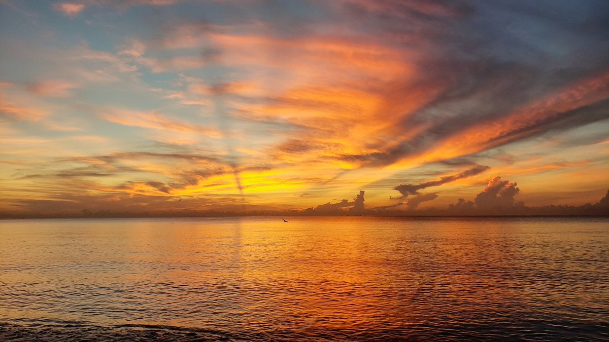 andrighetti35's tweet photo. Amazing sunrise in Pompano beach! #morningzenwithjenn #sunrisethismorning #lovefl #saltlife #myserenity #nature #pompanobeach #southflorida #Sunrise #riseandshine #beach @ShareALittleSun @LissetteCBS4 @visitlauderdale @weatherchannel @PompanoWeather https://t.co/zXcqifetiJ