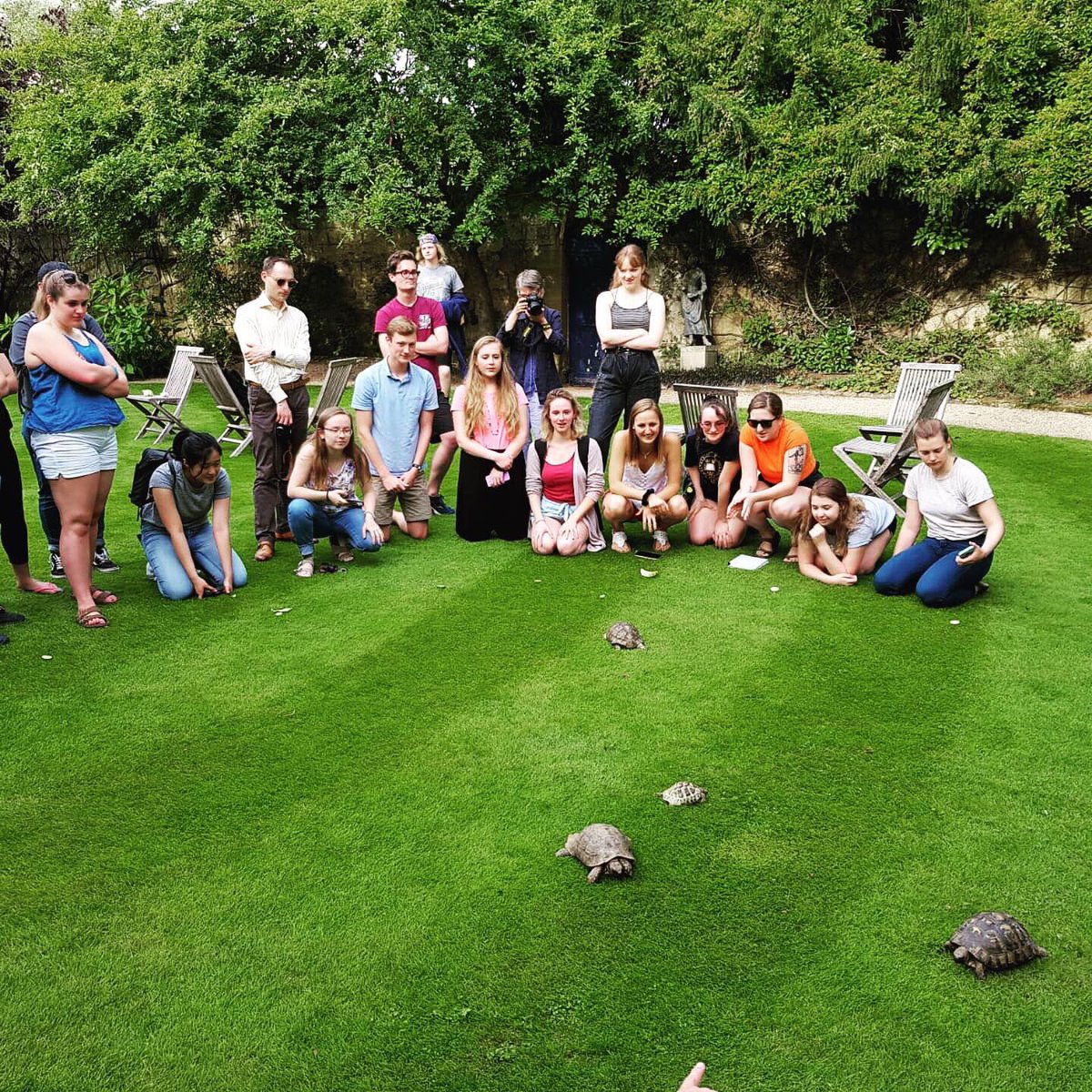 TrinityOxford's tweet image. Summertime means tortoise racing! College tortoises Toby and Plum had competition from head gardener’s baby Blossom and college librarian Sharon’s pet Torch. Thanks to all our US summer school students who came to cheer everyone on! @UGAatOxford @UMassAmherst @Georgetown