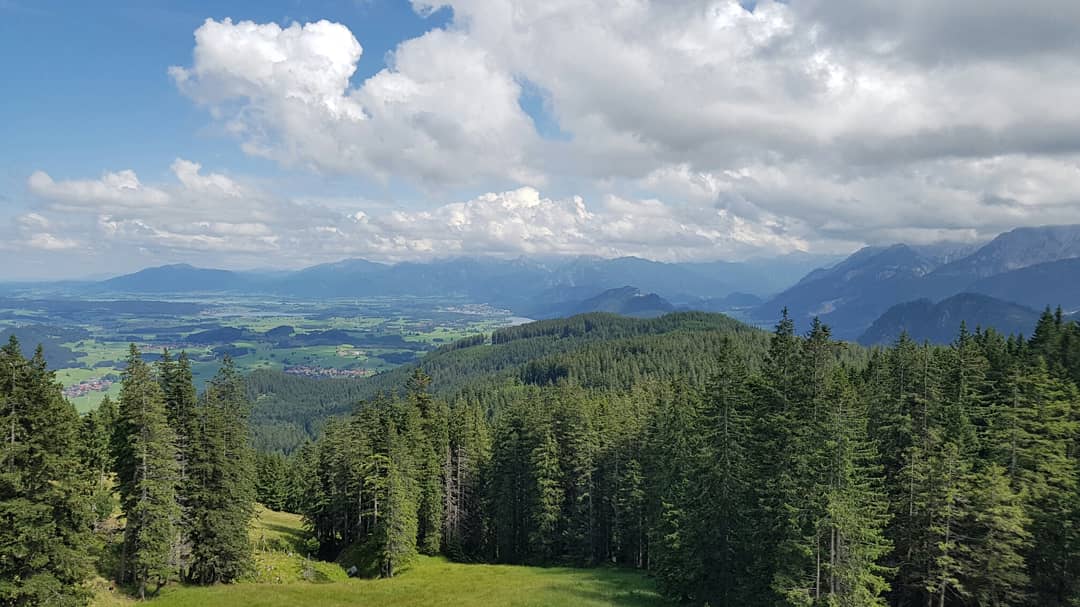 SteveNeale's tweet photo. Hills and cows @ Alpspitze, Nesselwang, Germany #germany #deutschland #bavaria #bayern #urlaub https://t.co/ktNuJyrBqo