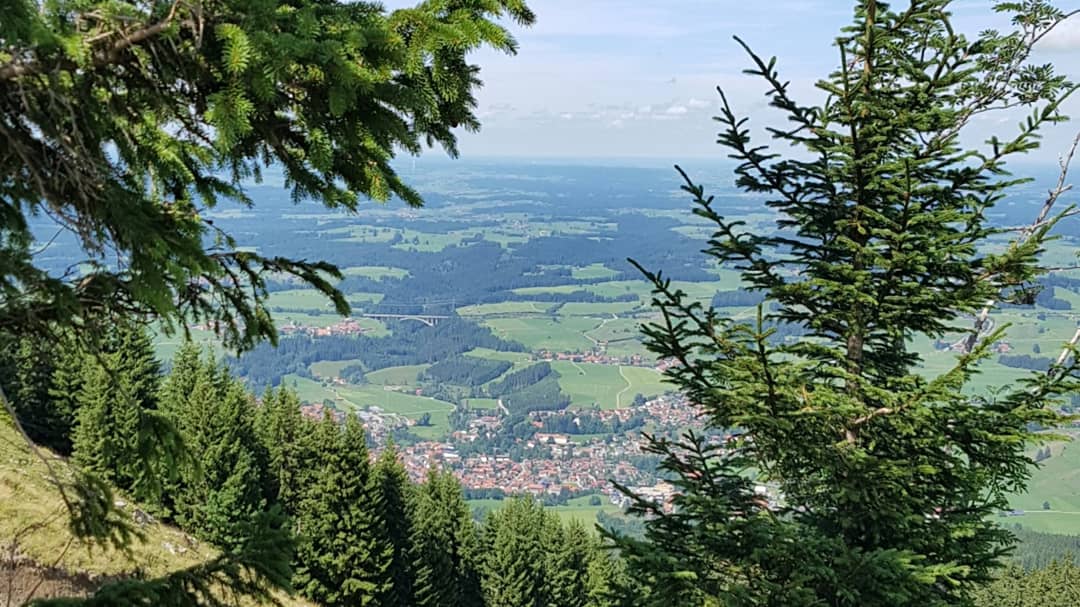 SteveNeale's tweet photo. Hills and cows @ Alpspitze, Nesselwang, Germany #germany #deutschland #bavaria #bayern #urlaub https://t.co/ktNuJyrBqo
