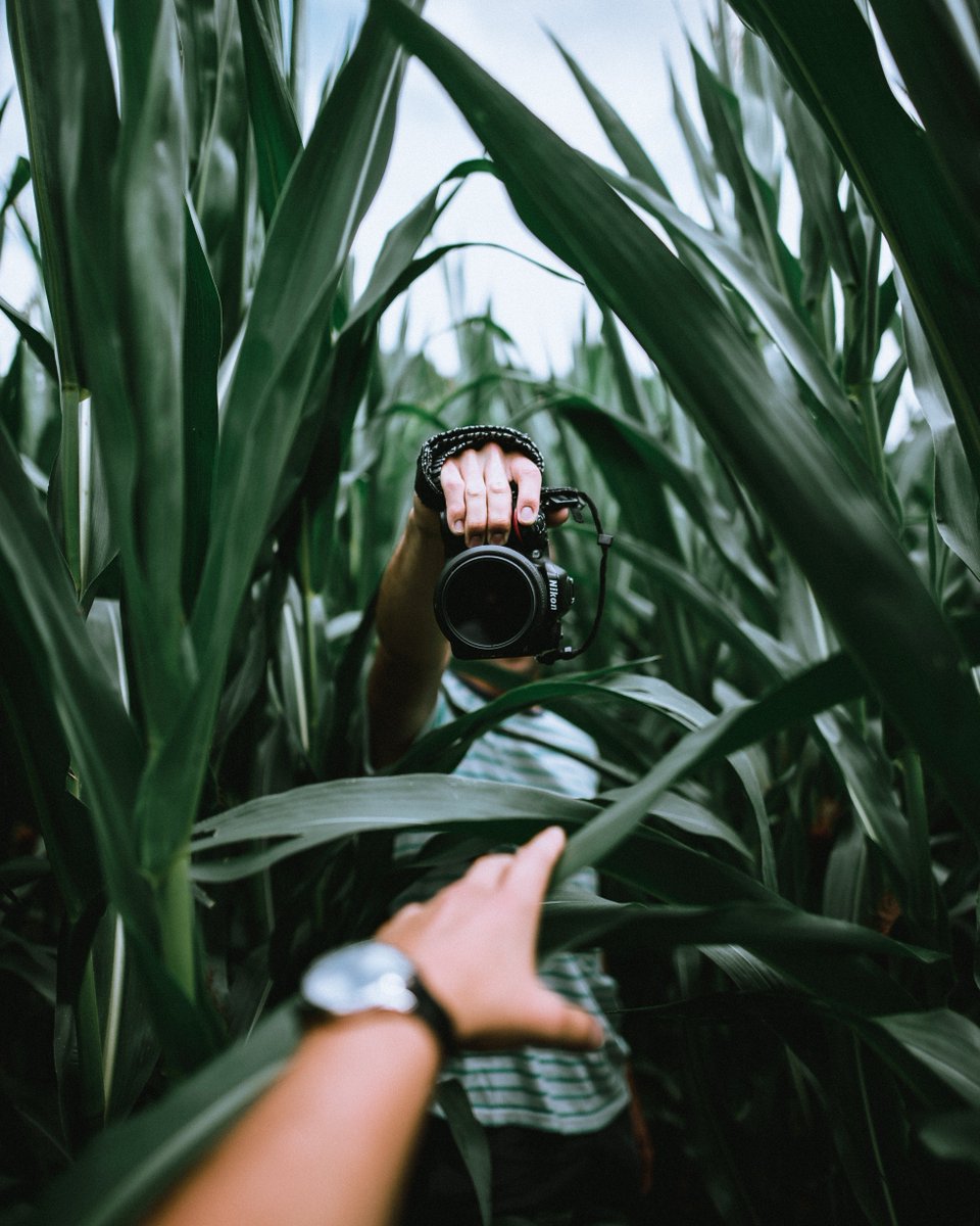 TRACKGEAR2's tweet photo. To capture those unique moments. #WorldPhotographyDay
----
Por captar esos momentos รบnicos. #TRACKGEAR
#DรญaMundialDeLaFotografรญa https://t.co/wtz1Q6znNF