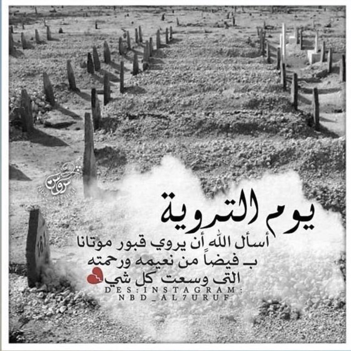 nkng900's tweet photo. 8| ذي الحجة🌿.
اللهمَّ أروي قبُور موتانا بنعِيمك إلى يوم يُبعثون💛
 #يوم_الترويه https://t.co/IvNRRn6iHQ