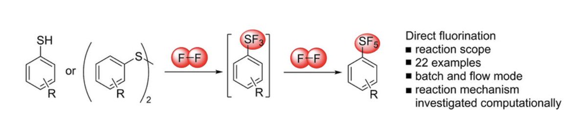 bacterial adhesion mechanisms and