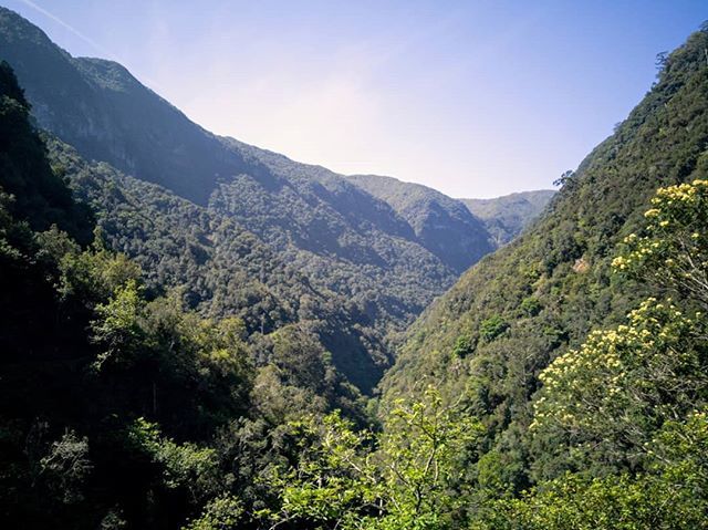 runneranonimopt's tweet photo. Mountain addiction 🗻 😍 .
.
#instarunners #time2run #runway #runhappy #furtherfasterstronger #VisitMadeira #instarunner #happyrunner #running #trailrunning #runner #runnercommunity #run #madeiraisland #runnerblog #training #trailrunner #fitness #runni… https://t.co/2rSd0a3fiA https://t.co/dsQ21DW1OI