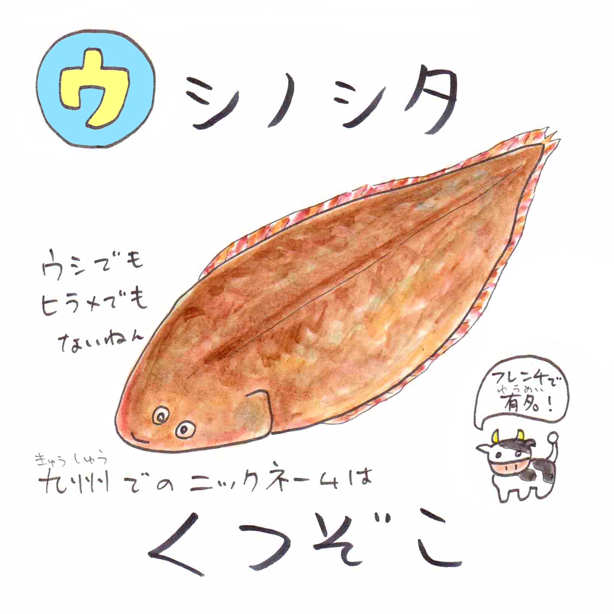 さかなのおにいさん かわちゃん ウ ウシノシタ 別名 シタビラメ としてフランス料理ではムニエルの高級食材 けど九州ではクツゾコと呼ばれる ちなみにイヌノシタもいるよ ワンっ あいうえおさかな うおにい T Co Lnqxq3vz7e Twitter
