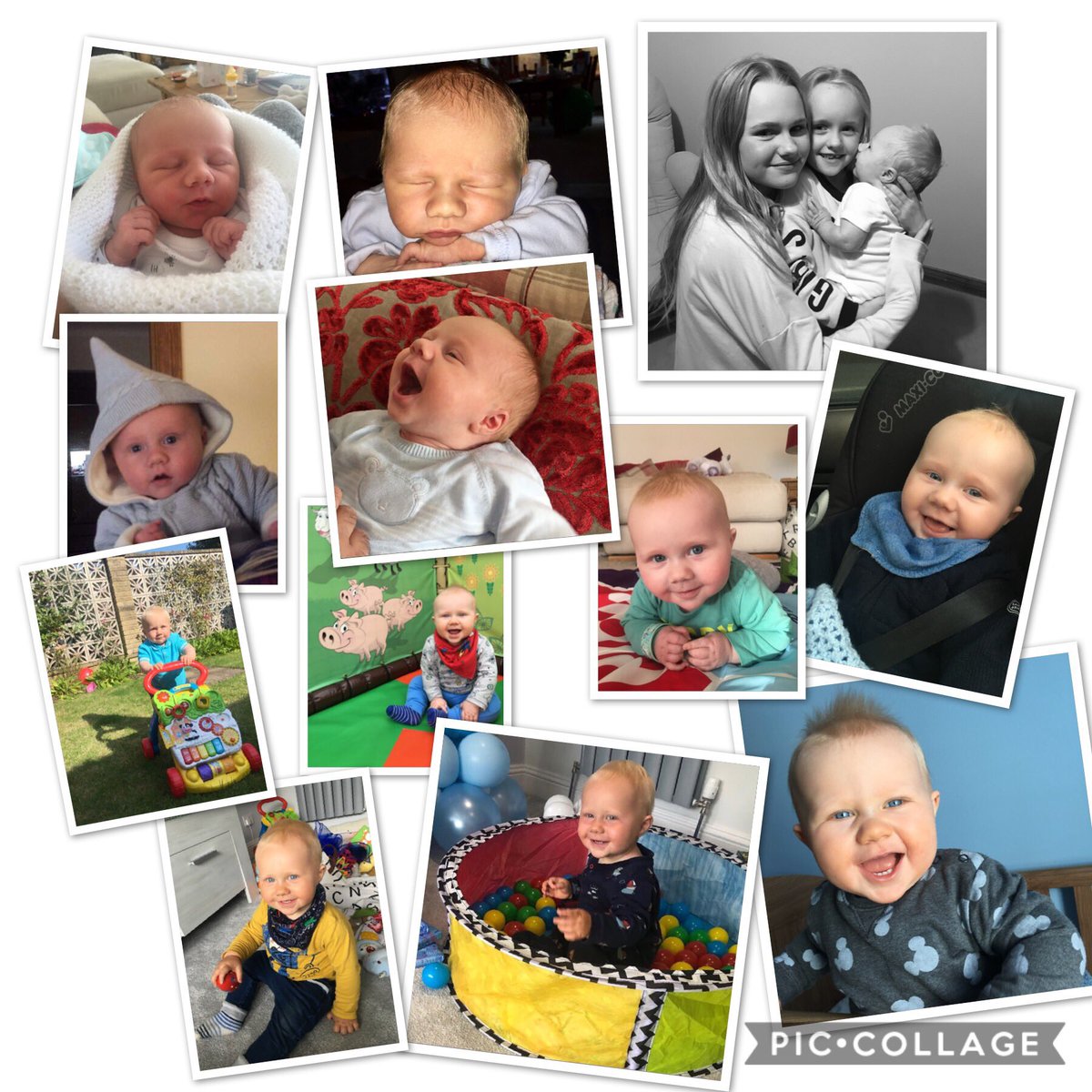 Alison Frame tweet media