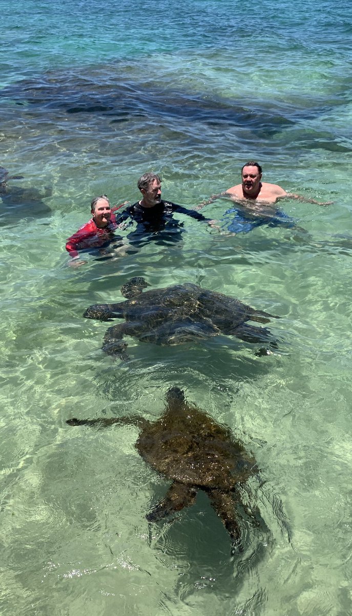 knobby63's tweet photo. Done some stuff in my life but swimming with these  blew me away#love Hawaii https://t.co/4W0QklNf9f