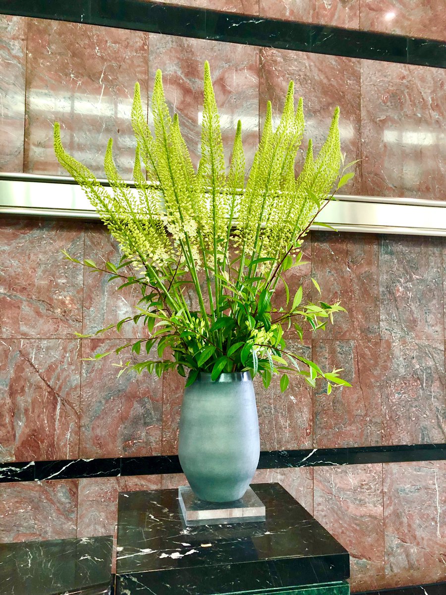 RBFloralDesign's tweet photo. Reach for the skies with big bold arrangements

#canarywharf #onecanadasquare #florist #essexflorist #leadenroding #flowers #corporate #events #flowerstagram #luxury #styles #officereception #rbfloraldesign https://t.co/iwD9CK44SA
