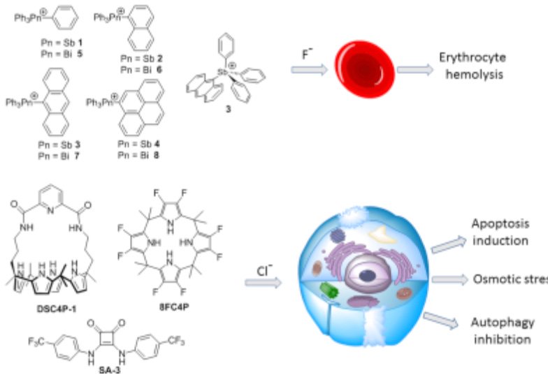 drug drug interactions in pharmaceutical development wiley series in drug discovery and development