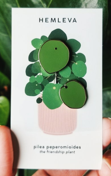 aliveasalex's tweet photo. Ever see a product and fall in love with it? I wish that I had someone to give a part of this friendship plant set! @hemleva your work is so cute and I'm going to get this asap https://t.co/6aCW5cb7Ky