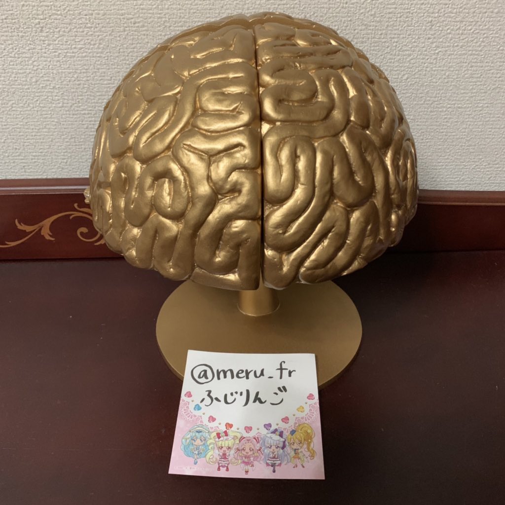 ご報告です。 今回の調査で金の脳が2つ、銀の脳が1つ見つけることが