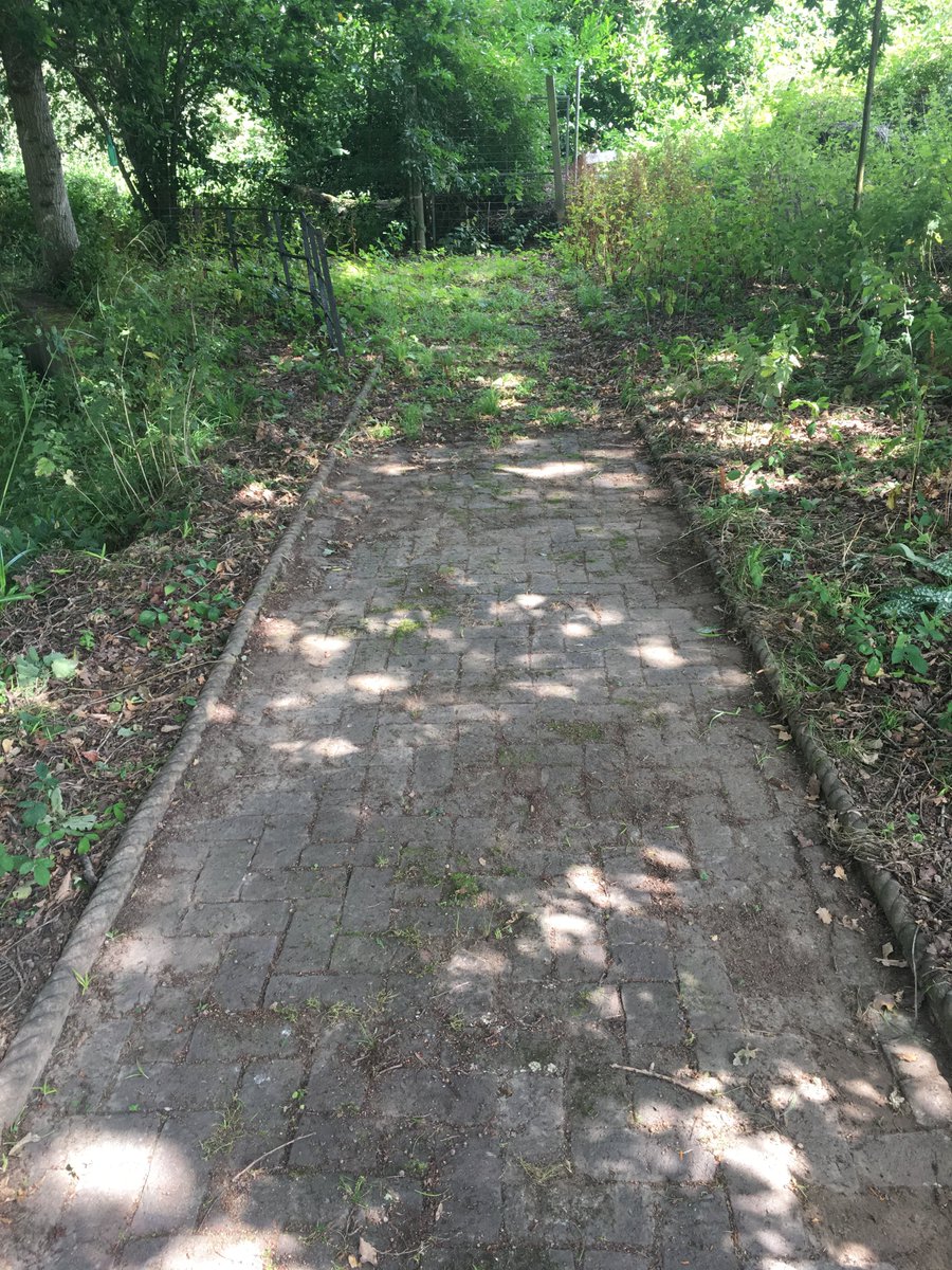 Our reparation team's project at @HeadwayESussex right now is tackling the overgrown pond area - mother nature has been in full force here! And our rep team are more than happy to get stuck in 💪🌵🌿👷‍♀️ #youngpeople #community #reparation #RJ #workingtogether