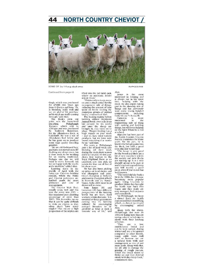 davidsonsfeeds's tweet photo. Take a look at this weeks issue of The Scottish Farmer to see another one of our valued customers at Philiphaugh Farm who are running a very successful farm enterprise! #success #topnutrition https://t.co/rQvpmHHHHT