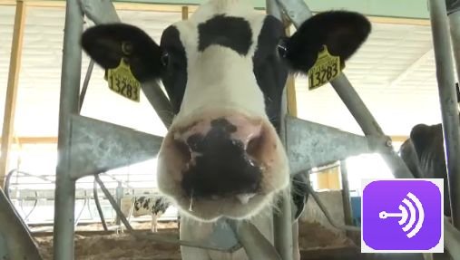 FiremanRich's tweet photo. Anchor Morning Audio βοΈππ 08.09.2019 ; Keeping Cows Cool in the Heat
https://t.co/qBnBc5ti9l
#MyAudio #MyVoice #Audio #DoingAudio #SocialAudio #AnchorMorningAudio @anchor #AudioOnInternet #VoiceOnInternet #LinkToGoodStuff @FiremanRich https://t.co/Rj8FRNnKtw