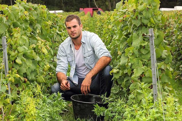 Wine Source UK tweet media