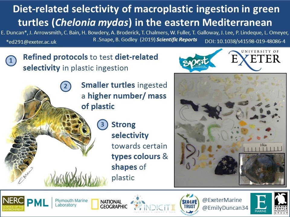 New paper out today! Diet- related selectivity of plastic ingestion in green turtles in the Mediterranean. Please share widely, its open access! Read it here: go.nature.com/33m3OBE