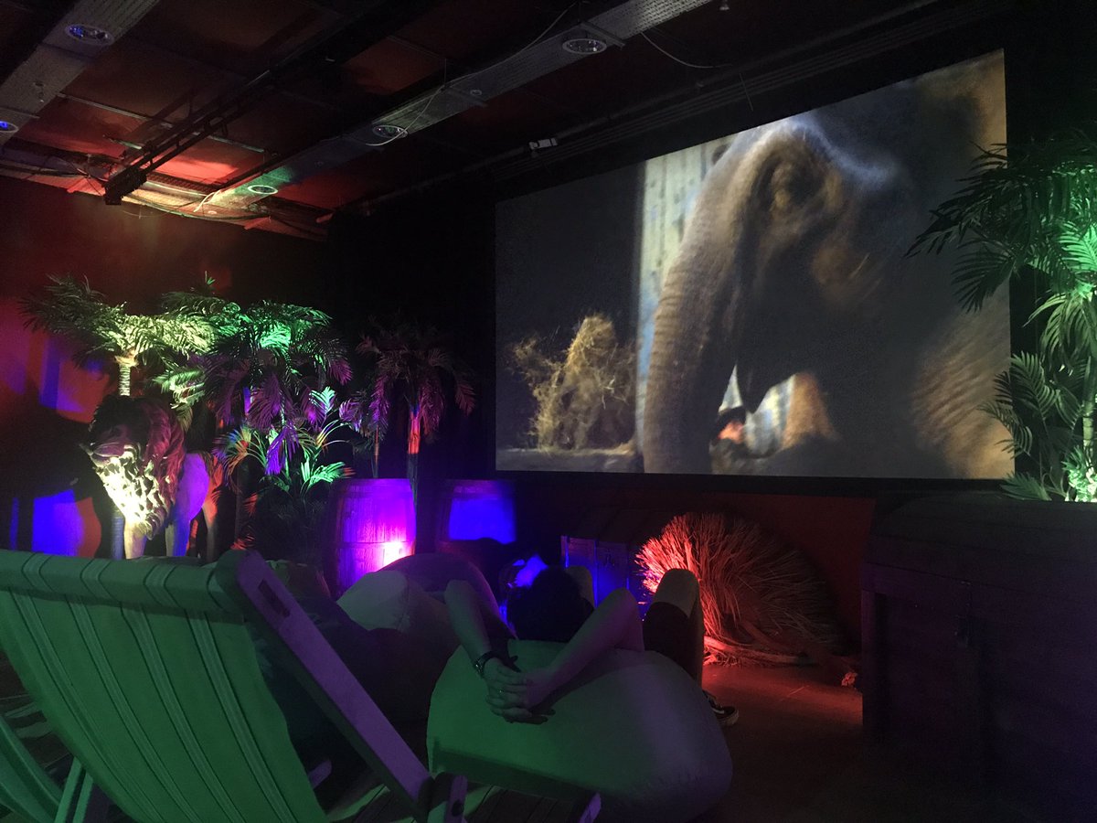 VillageScreen's tweet photo. Fly Dumbo, fly!
We’re all set and ready to go for the first of today’s #HiddenCinema family screening with @HistoricEngland at @OHTheatre
Later we have The Greatest Showman, come and get cozy with us on this drizzly summer’s day ☔️
https://t.co/i0Ea421Zd5 https://t.co/45jtnbBQ0k