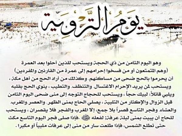 أنا أمين tweet media