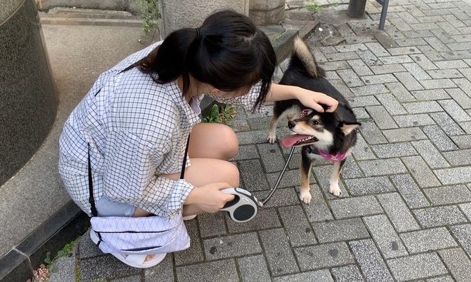 コスプレイヤー洛洛子のTwitter画像35