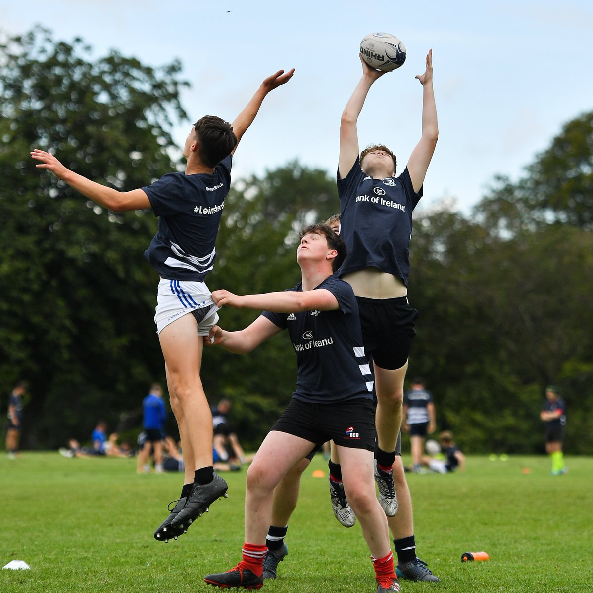 Leinster Domestic tweet media