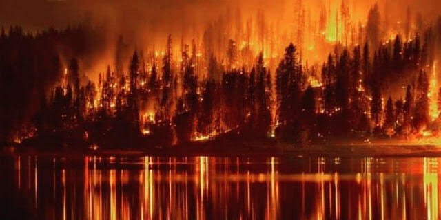global_project's tweet photo. Giugno e il luglio i mesi più caldi della storia del pianeta Terra. I ghiacci che pensavamo eterni della Groenlandia, del Canada, dell’Alaska e della Siberia si sono trasformati in fuoco 👉 https://t.co/vZZpJUYs0Y
I disastri peggiori sono avvenuti in Siberia.
#ClimateEmergency https://t.co/xCrWDwrwyu