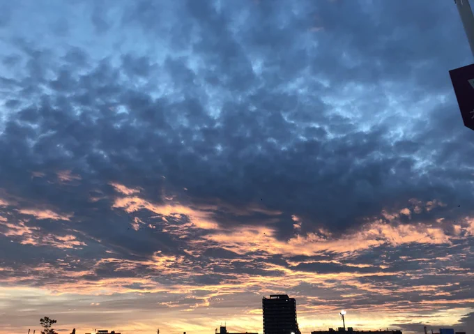 こういうの見ると地震とか来るんじゃないかと思ってしまう。 