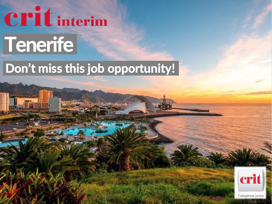GrupoCrit's tweet photo. Are you #German or do you have a fluent level of German🇩🇪? Would you like to live in #Tenerife🏝️? Crit Group is offering a job as a help-desk agent👨‍💻👩‍💻 so you can do it. 
Answer this form &amp; meet the job offer details: https://t.co/oVILpTZ1Yr
#empleoTenerife #Spainjob https://t.co/CpoA5WkTxy
