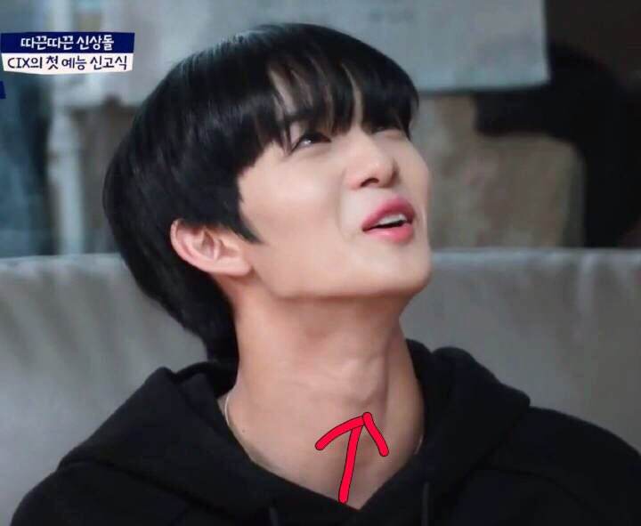 momobae0510's tweet photo. 💫190801   Repo

My friend said Jinyoung's Adam's apple is heart-shaped. 
But Jinyoung thought that she wants him to make a heart gesture there.
Sooooo cute😭.
And his Adam's apple is really heart-shaped. 
Amazing!
#배진영 #BAEJINYOUNG #裴珍映 https://t.co/sdwwIgwUGU